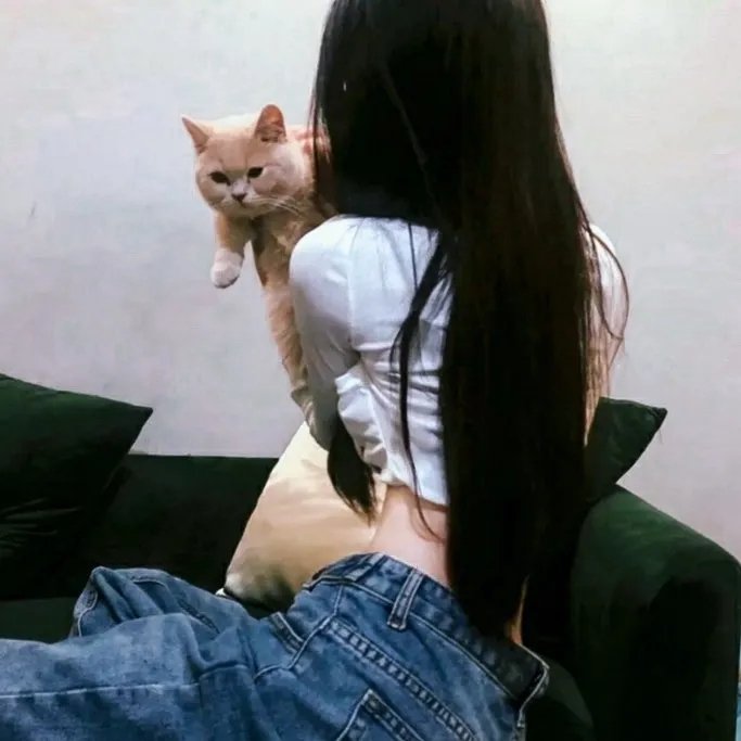 明月守护者 海报